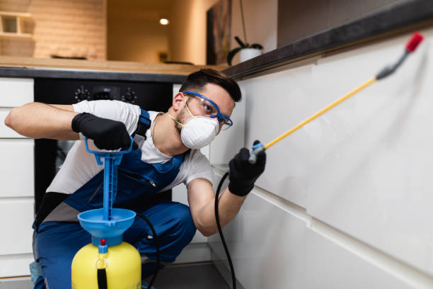 Best Rat Extermination Near Me  in La Blanca, TX