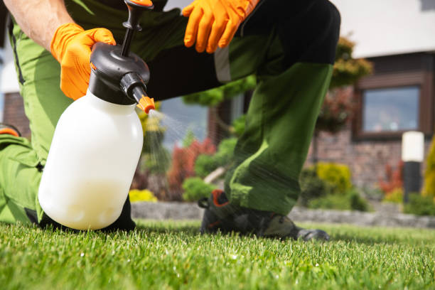 Best Affordable Pest Control Services  in La Blanca, TX