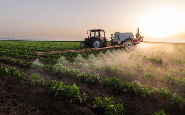 Trusted La Blanca, TX Pest Control Experts