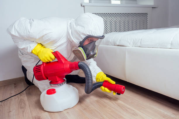 Best Mosquito Control Services  in La Blanca, TX