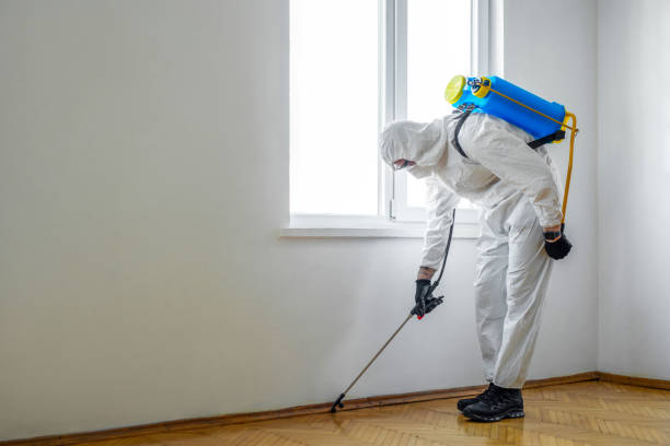 Best Affordable Pest Control Services  in La Blanca, TX