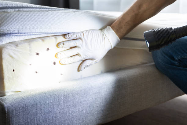 Best Pest Control Near Me  in La Blanca, TX