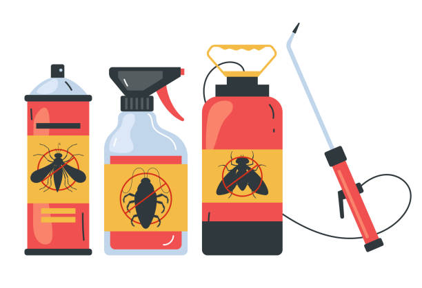Best Bed Bug Extermination  in La Blanca, TX